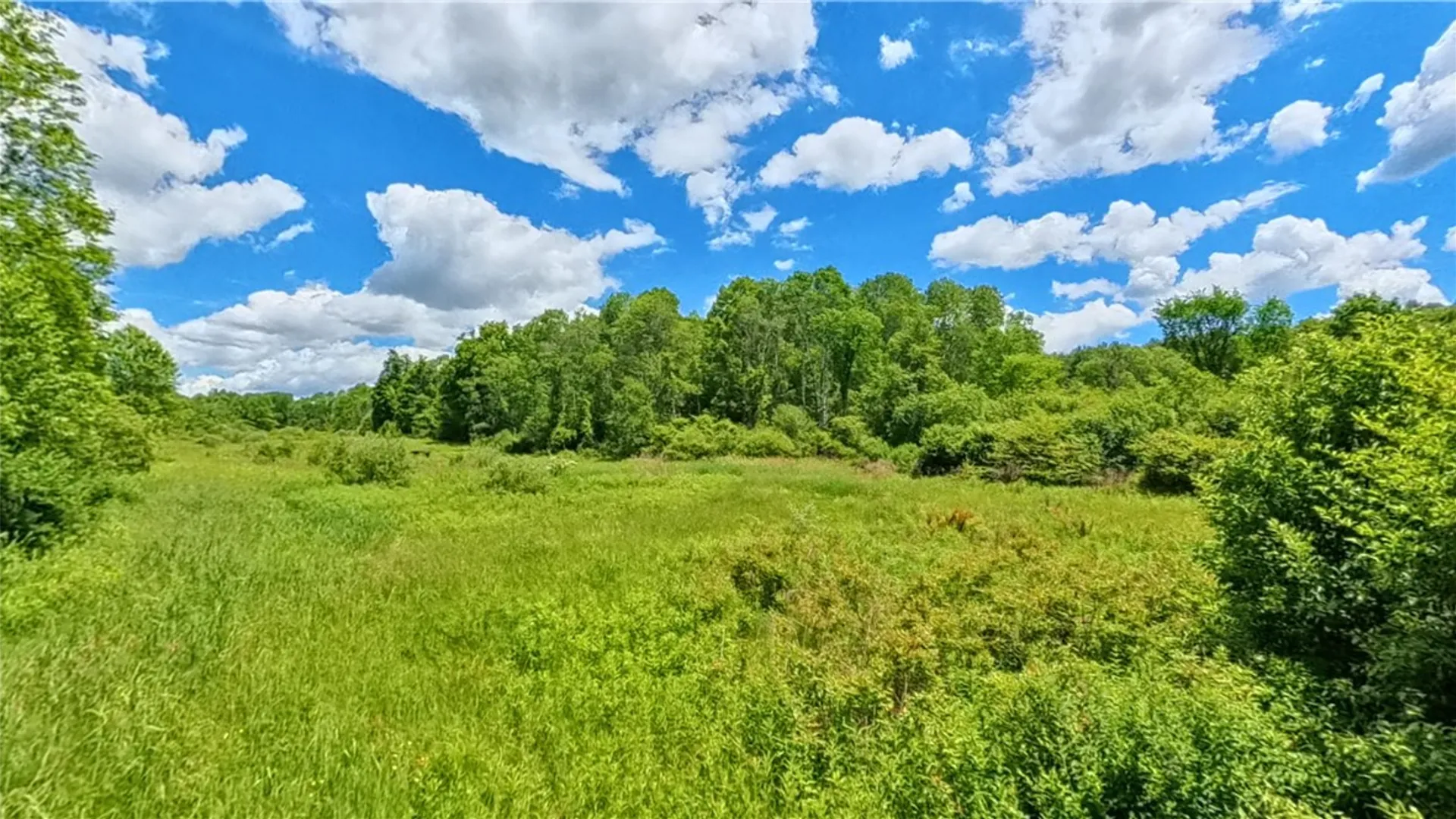 Property at 27 Lintal Drive, Veteran, NY 14864 11