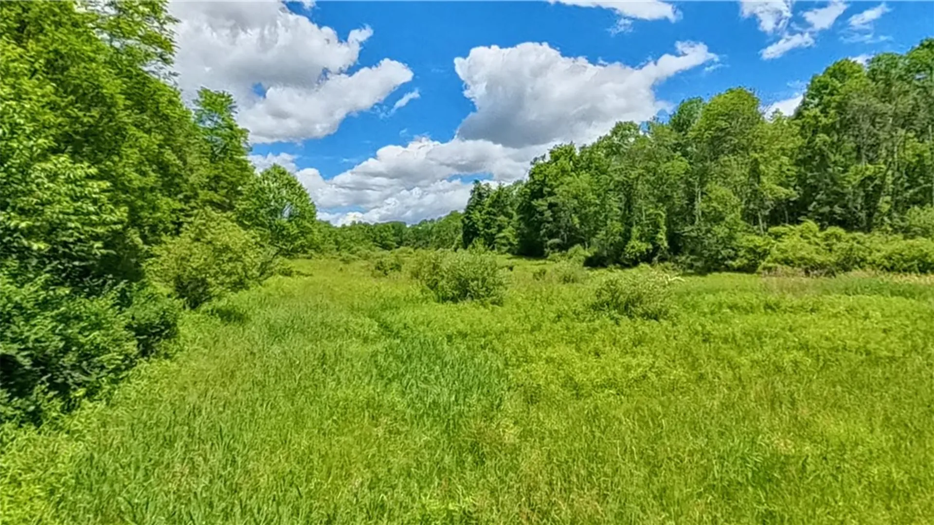 Property at 27 Lintal Drive, Veteran, NY 14864 12