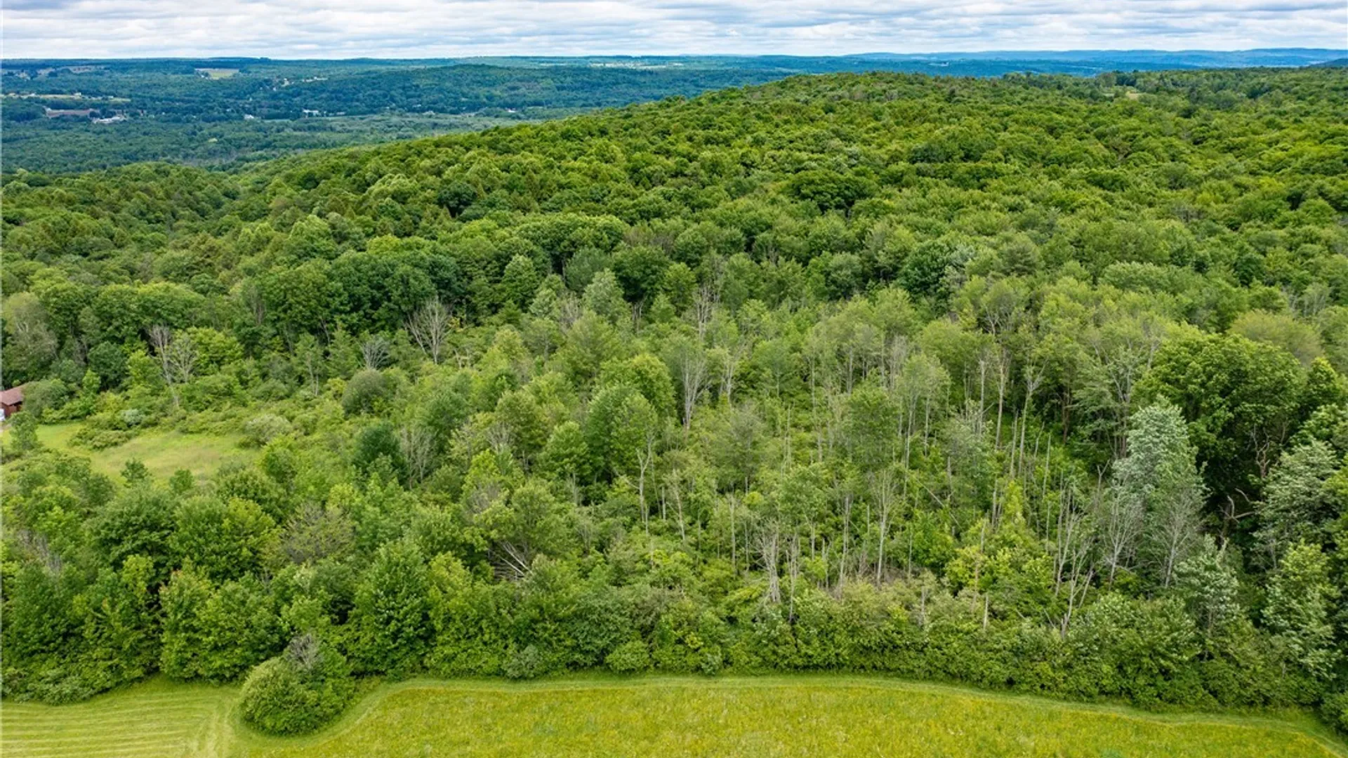 Property at Part of 4600 Fluvanna Townline Road, Gerry, NY 14701 5