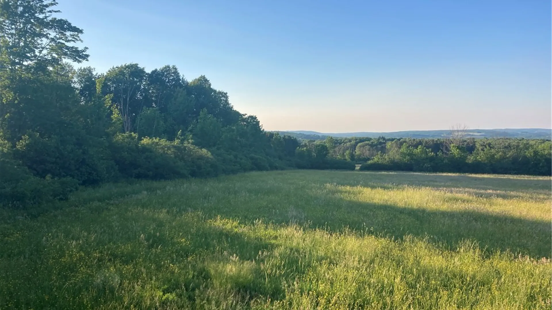 Property at Part of 4600 Fluvanna Townline Road, Gerry, NY 14701 9