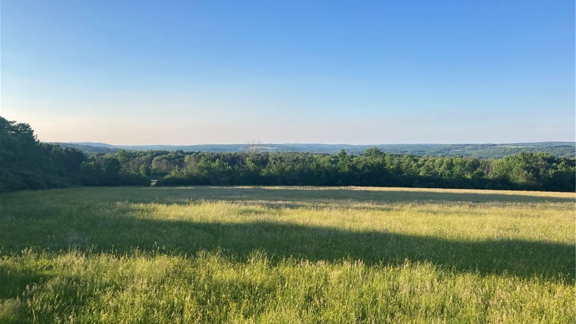 Property at Part of 4600 Fluvanna Townline Road, Gerry, NY 14701 10