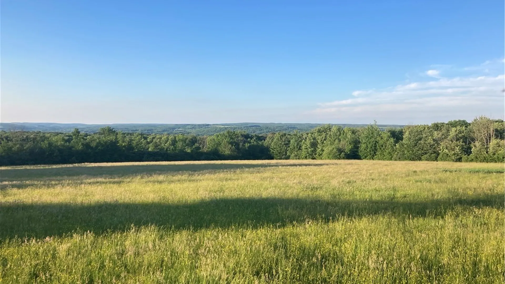 Property at Part of 4600 Fluvanna Townline Road, Gerry, NY 14701 11