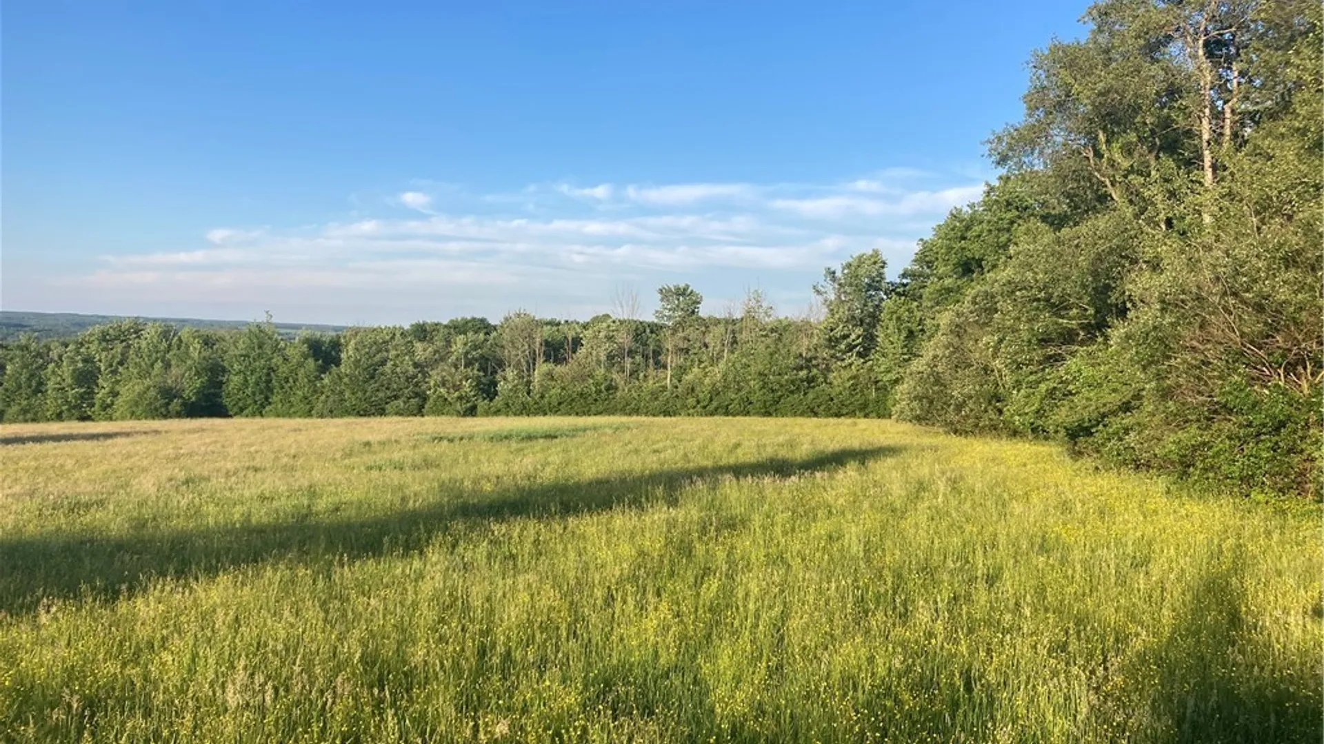 Property at Part of 4600 Fluvanna Townline Road, Gerry, NY 14701 12