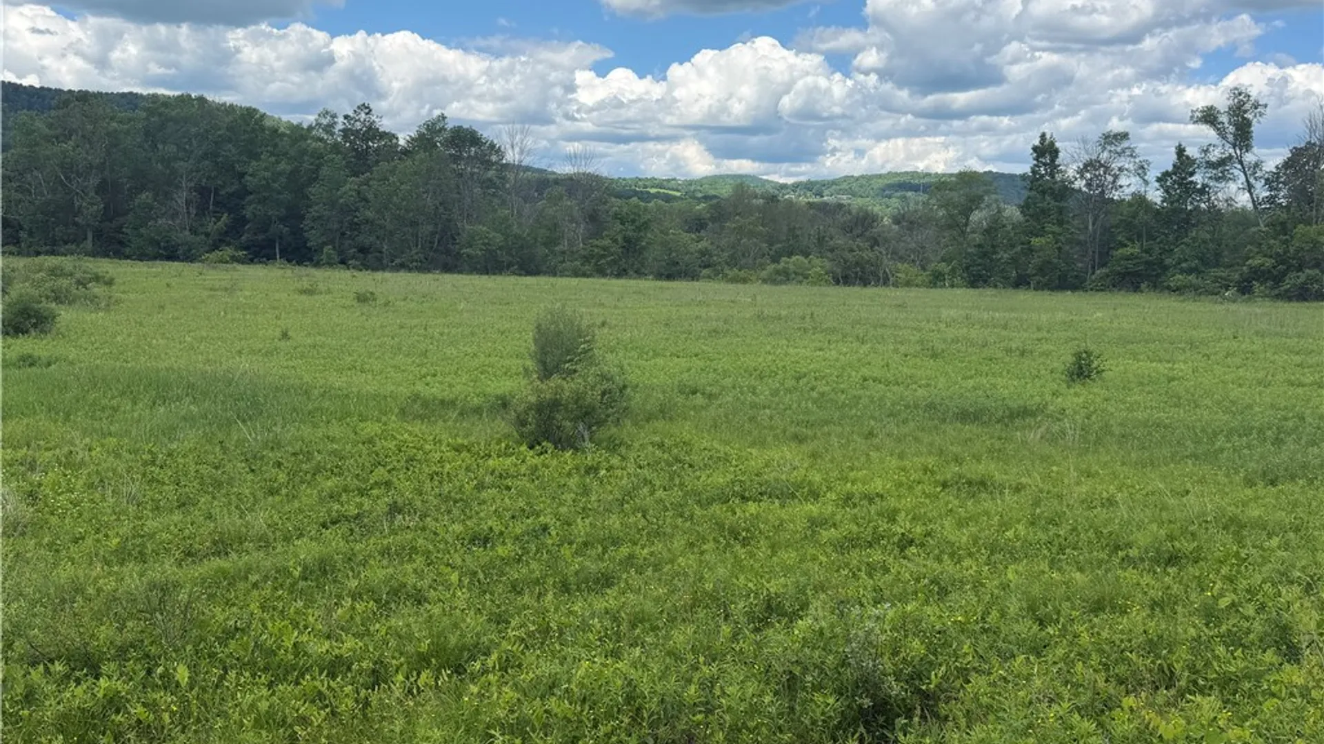 Property at County Highway 33, Middlefield, NY 13326 5