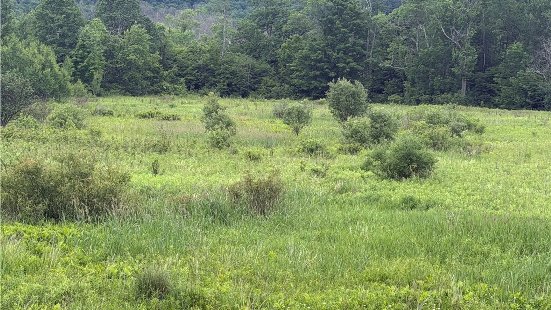 Property at County Highway 33, Middlefield, NY 13326 6