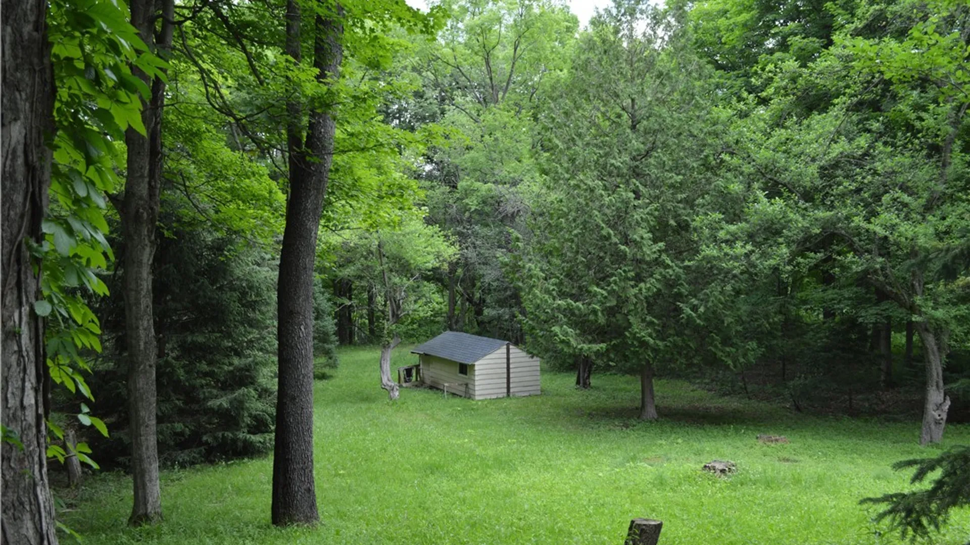 Property at 7447 Armstrong Road, Manlius, NY 13104 34