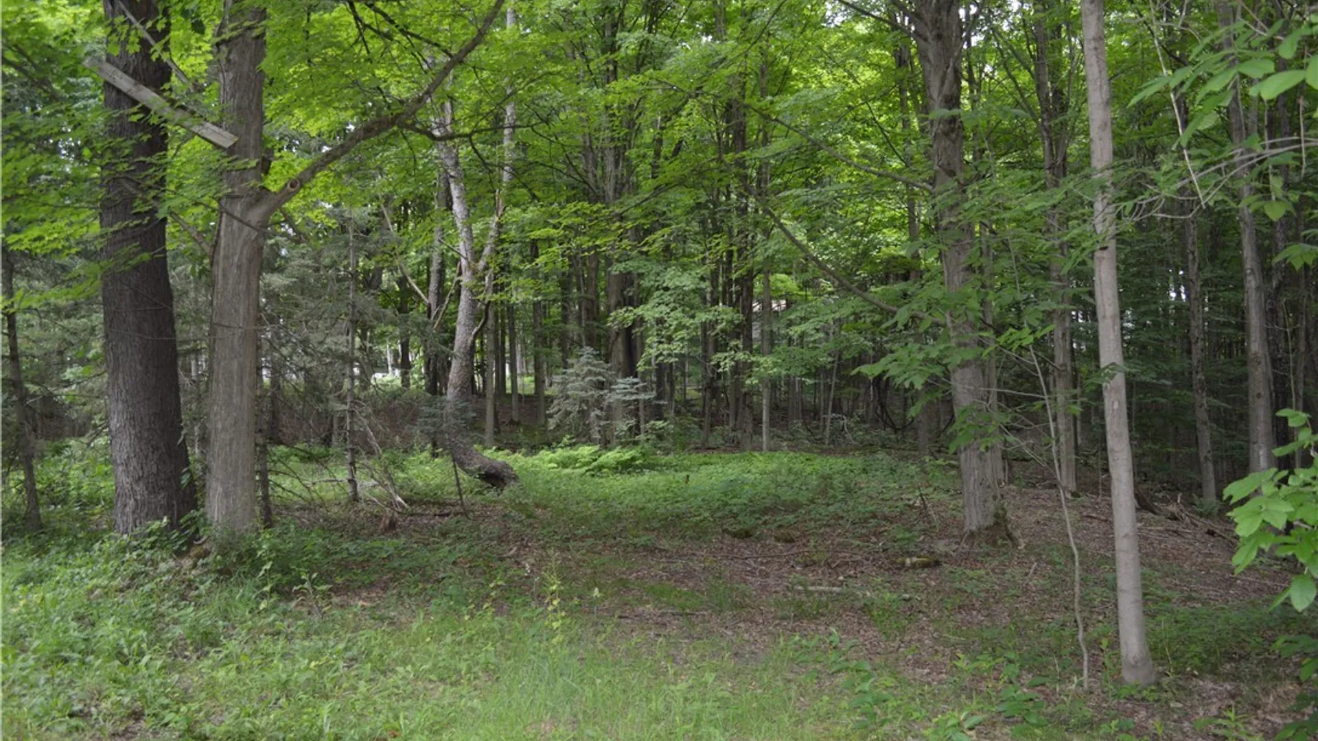 Property at 7447 Armstrong Road, Manlius, NY 13104 36
