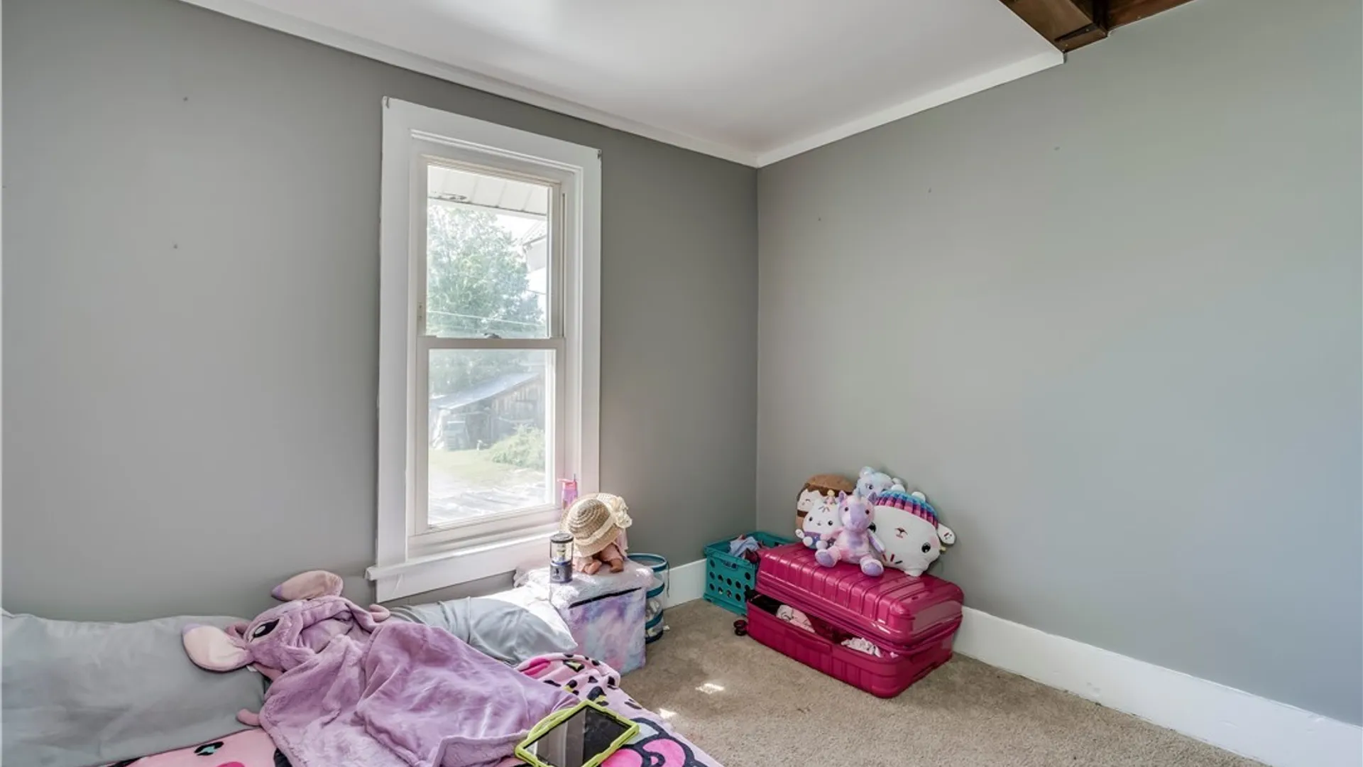 Property at 14342 & 14344 Pearl Street, Diana, NY 13648 25