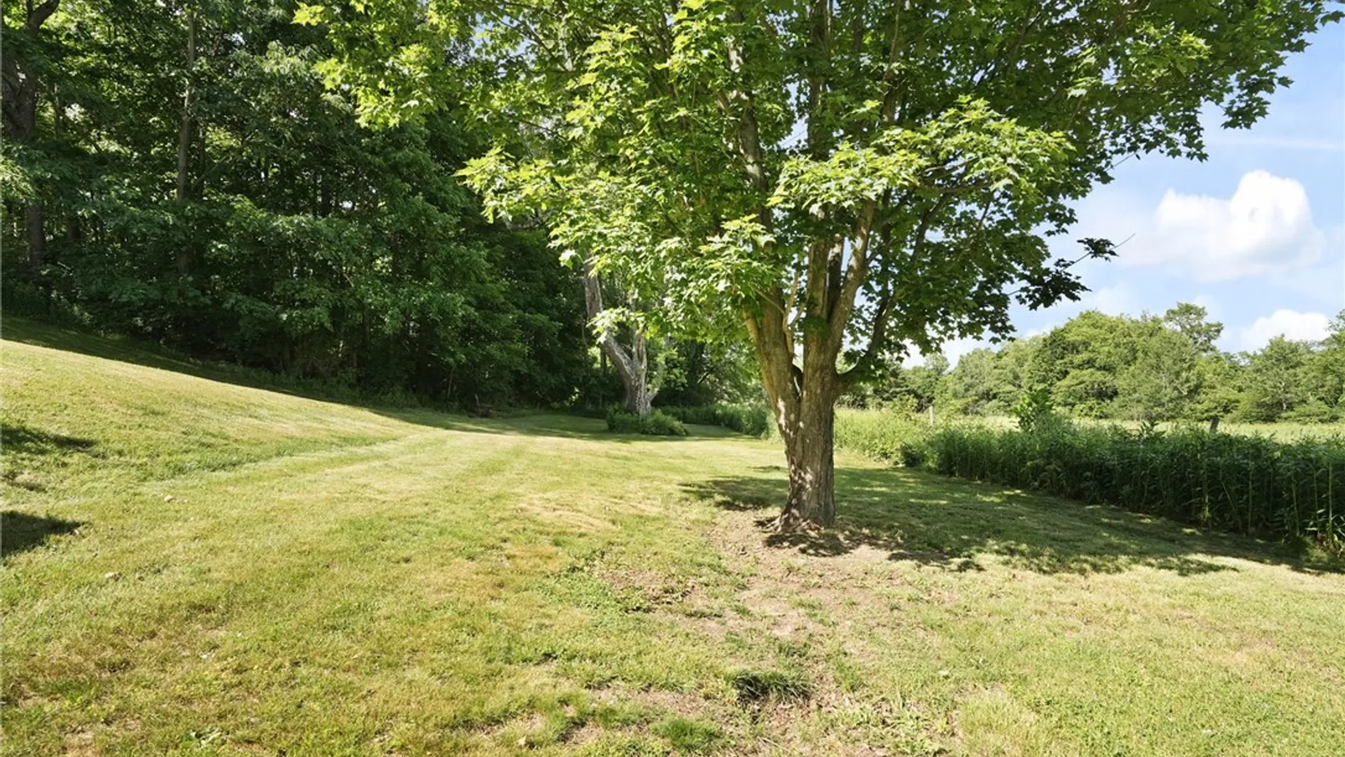 Property at 3190 State Highway 51, Morris, NY 13808 46