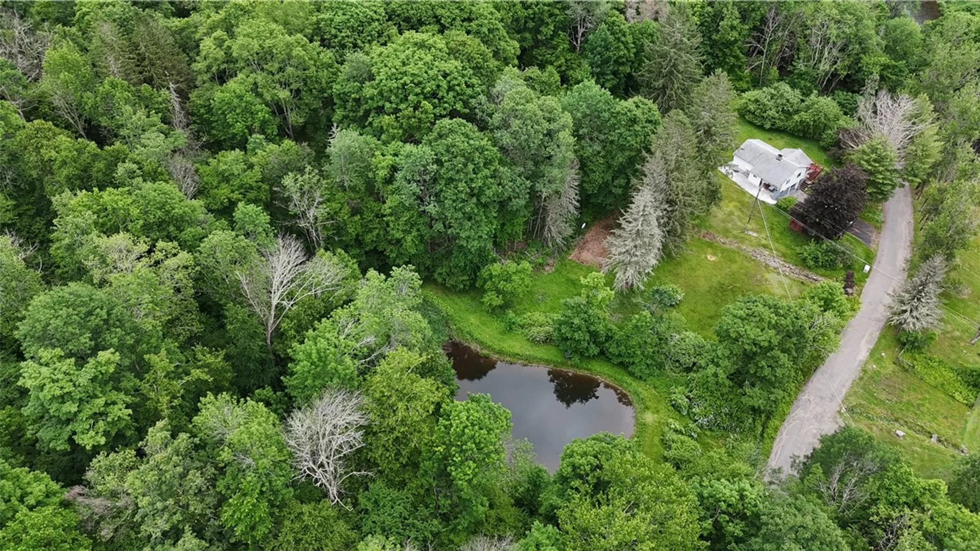 Property at 549 Gavette Road, Colchester, NY 12776 7