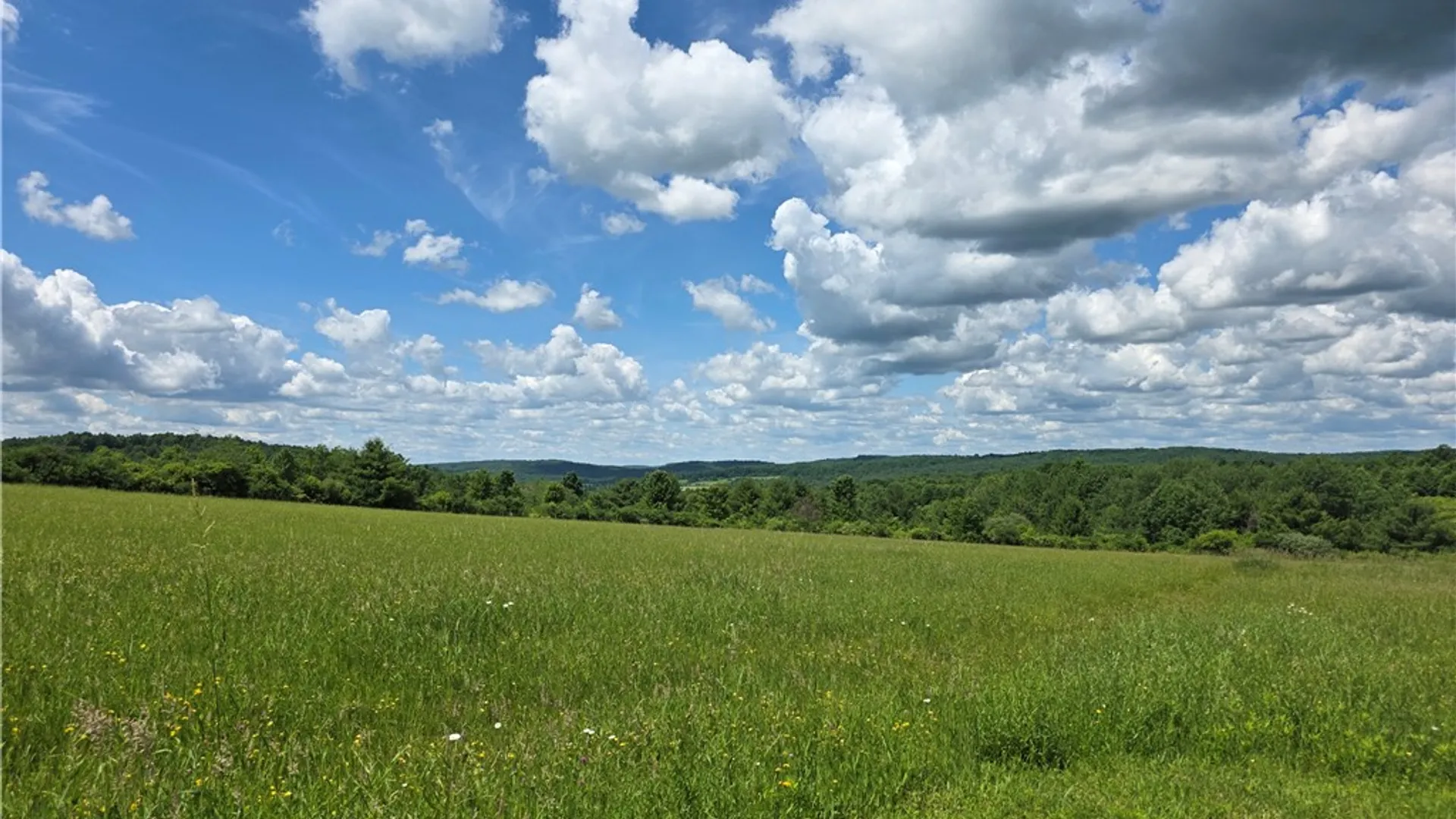 Property at 271 Prospect Hill Road, Barton, NY 14892 12