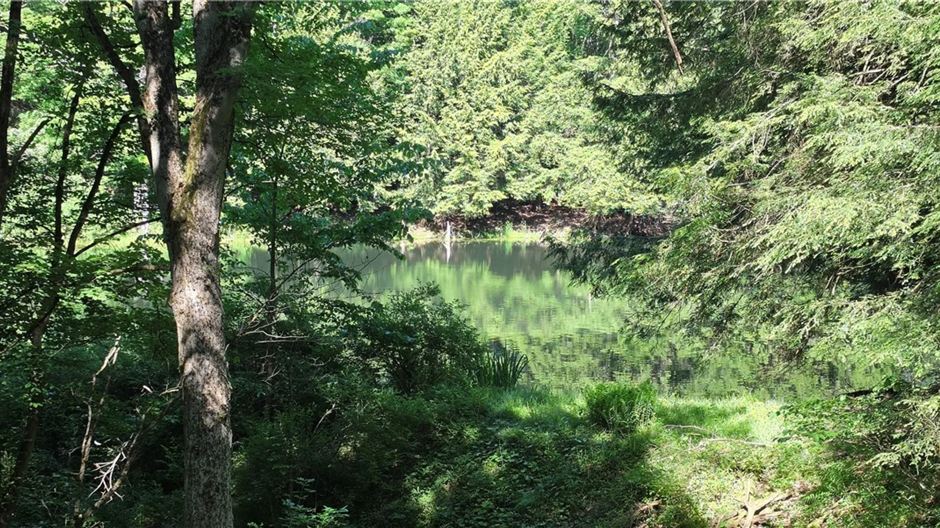 Property at 00 Route 78 & 98, Java, NY 14082 17