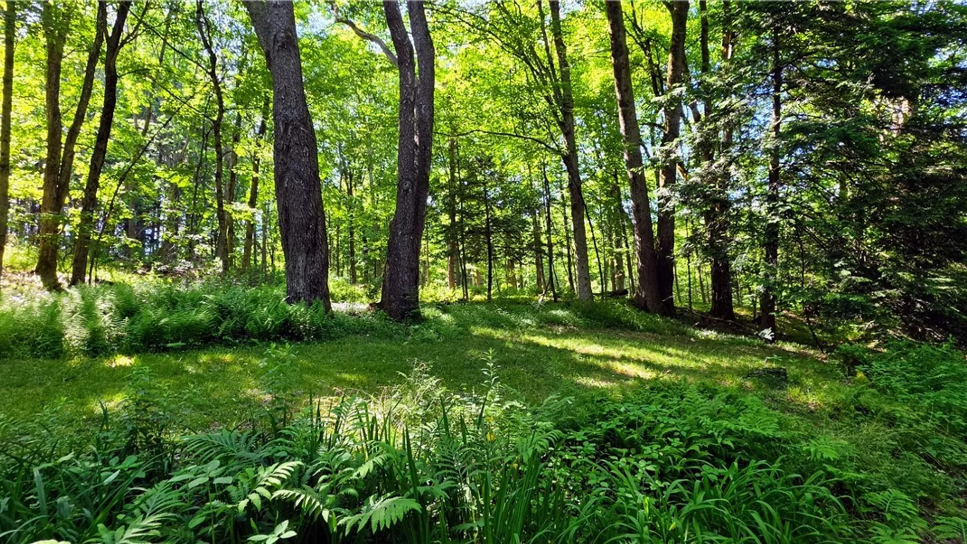 Property at 00 Route 78 & 98, Java, NY 14082 19