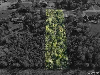 Property at 986 Sturgeon Point Road, Evans, NY 14047