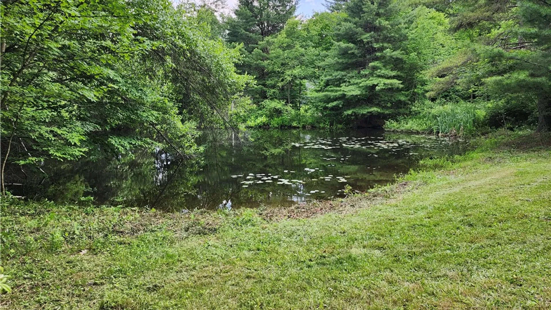 Property at Houck Road, Masonville, NY 13804 5