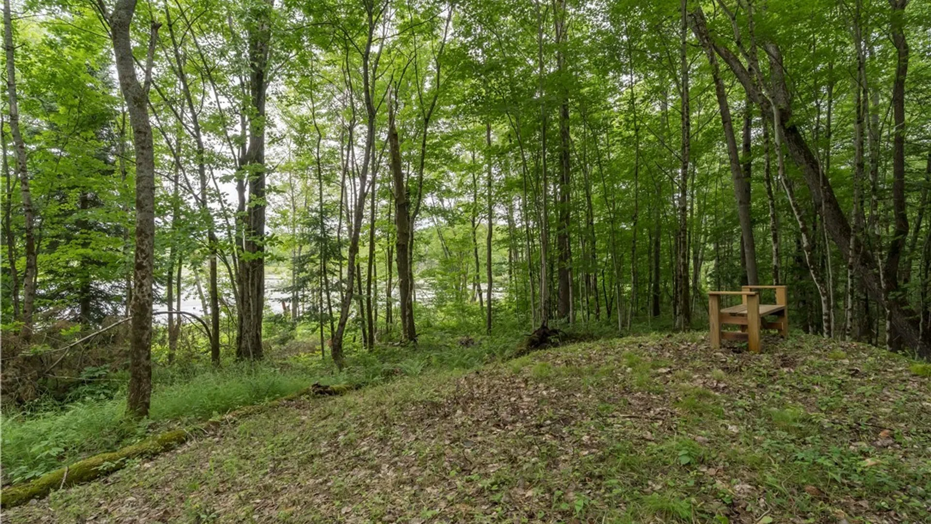 Property at 6258 Bear Paw Lane, Croghan, NY 13327 23