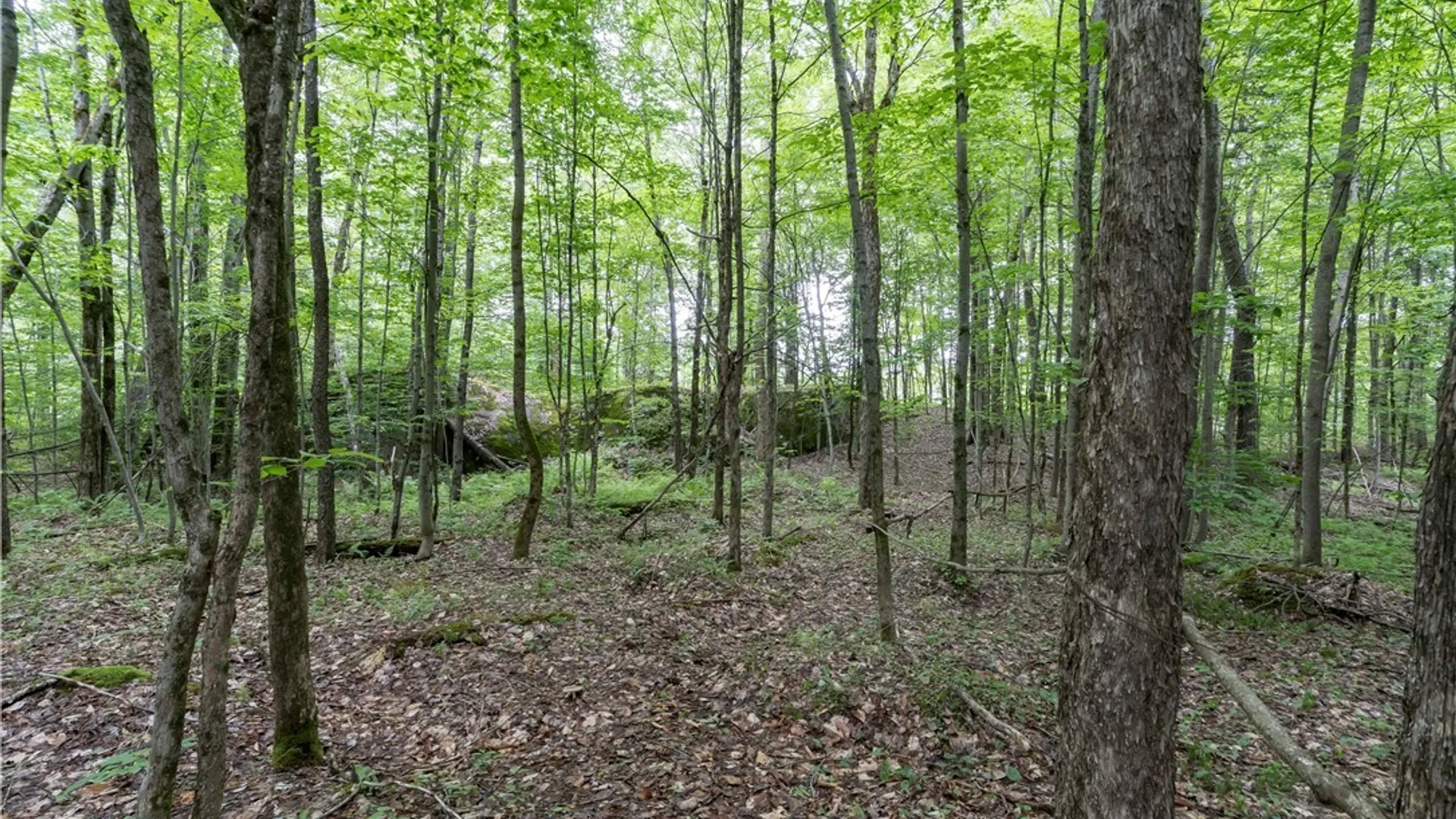 Property at 6258 Bear Paw Lane, Croghan, NY 13327 27