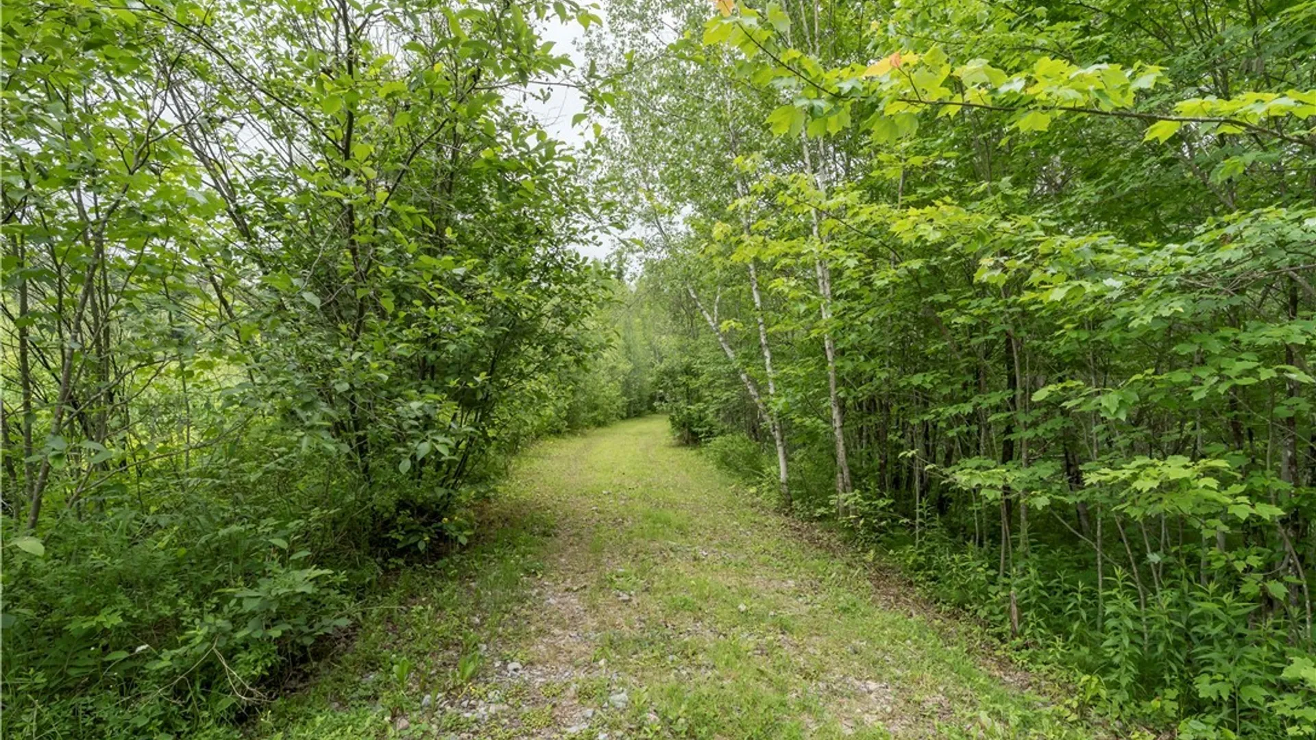 Property at 6258 Bear Paw Lane, Croghan, NY 13327 30