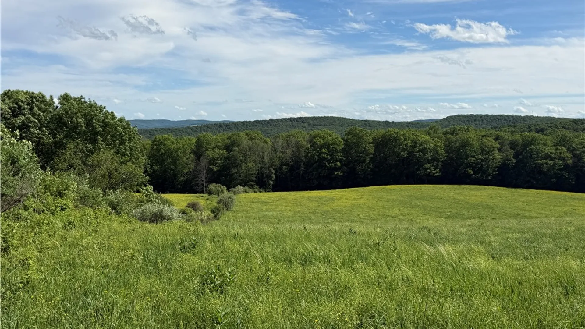 Property at 5243 Reed Road, Friendship, NY 14739 41