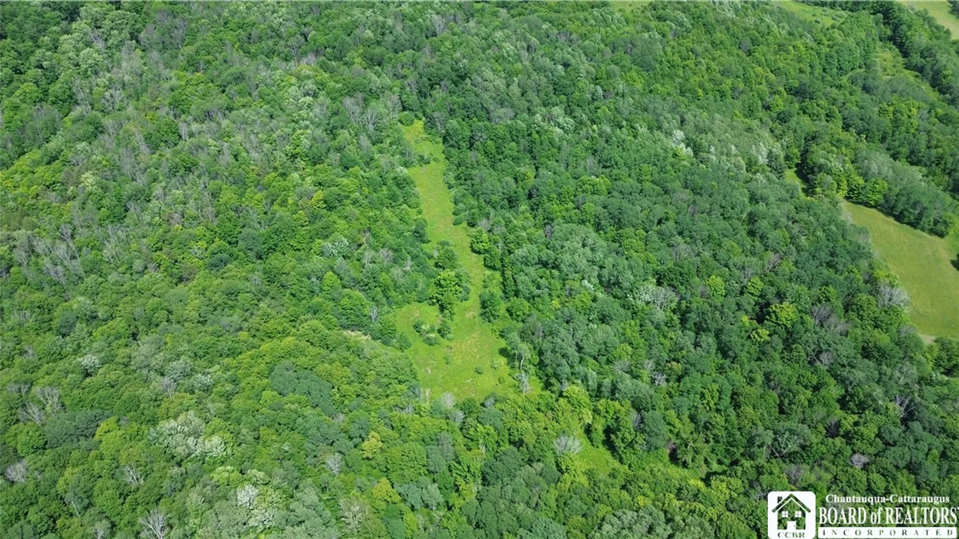Property at 1471 Loomis Road, West Union, NY 14877 12