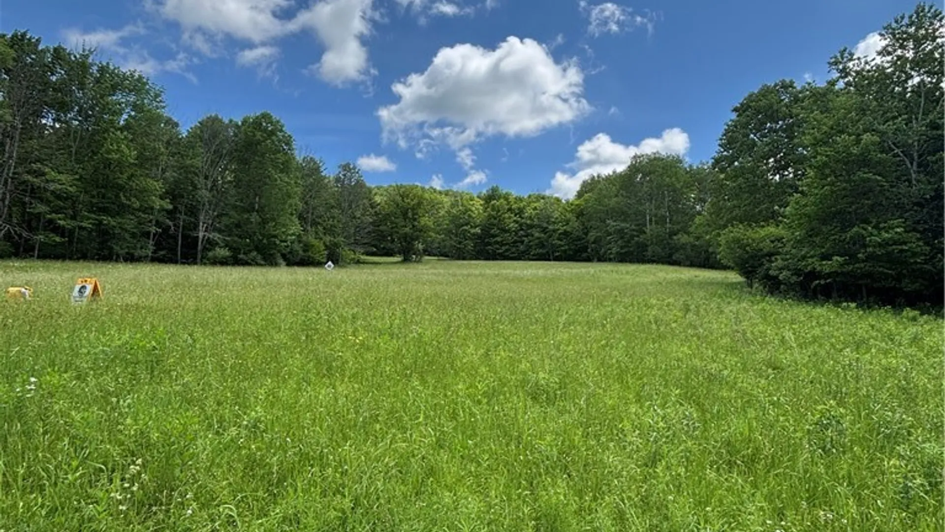 Property at 1471 Loomis Road, West Union, NY 14877 37
