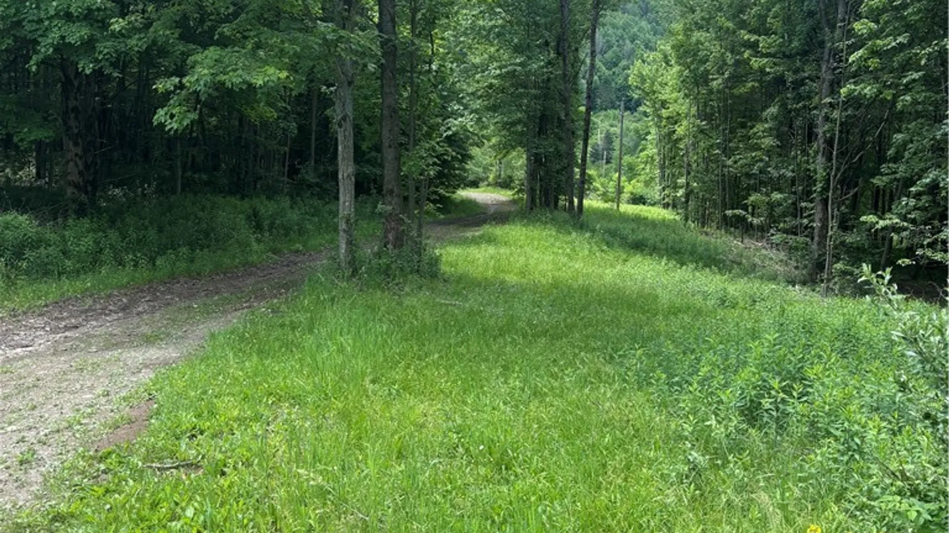 Property at 1471 Loomis Road, West Union, NY 14877 38