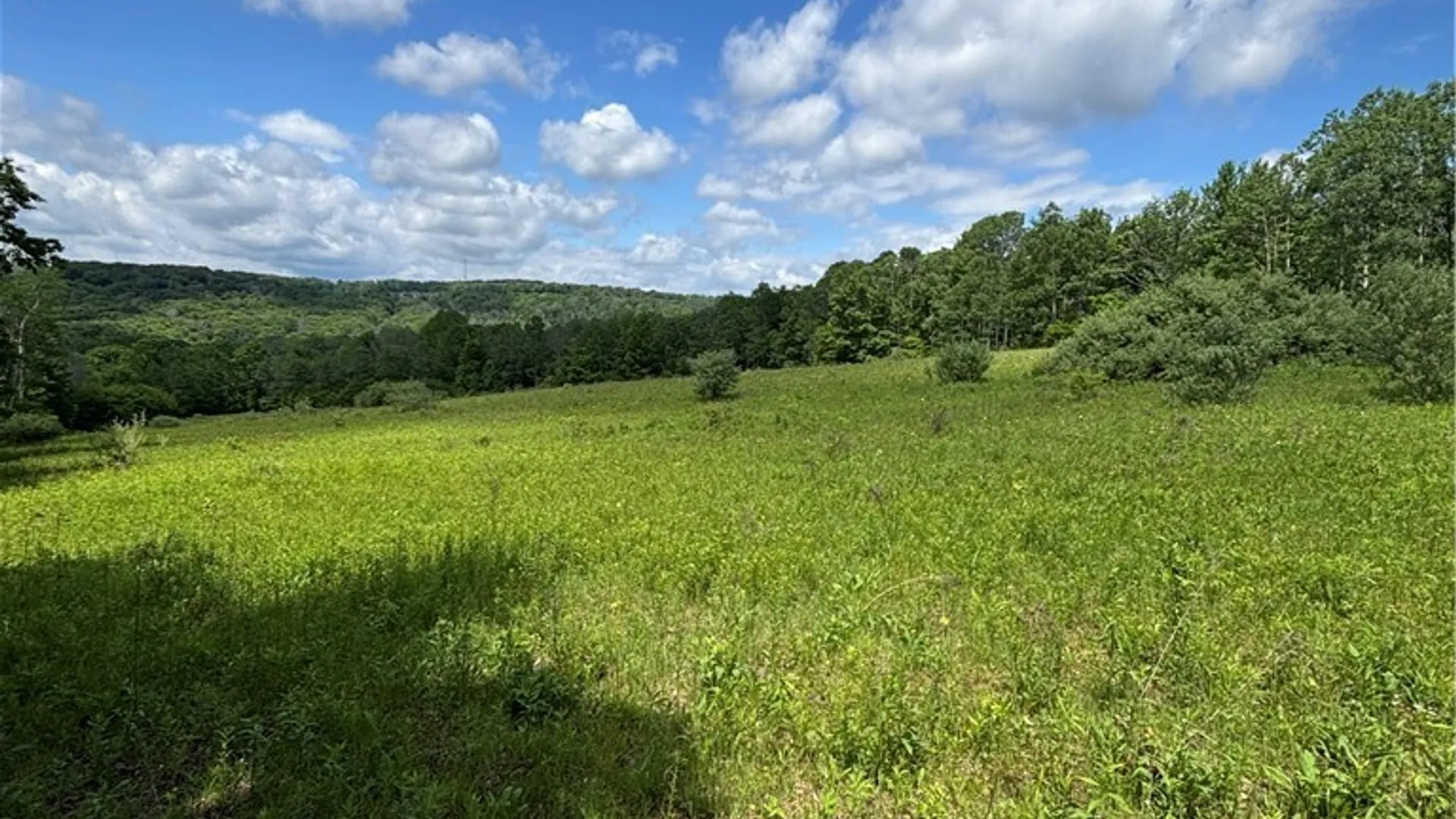 Property at 1471 Loomis Road, West Union, NY 14877 39