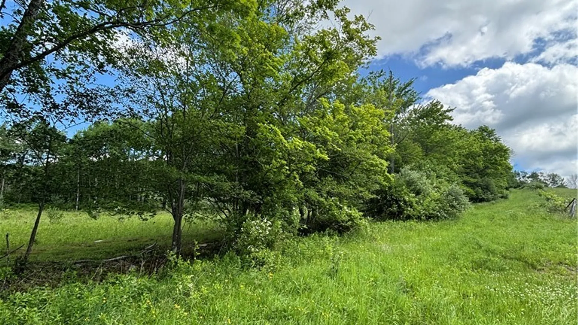 Property at 1471 Loomis Road, West Union, NY 14877 40