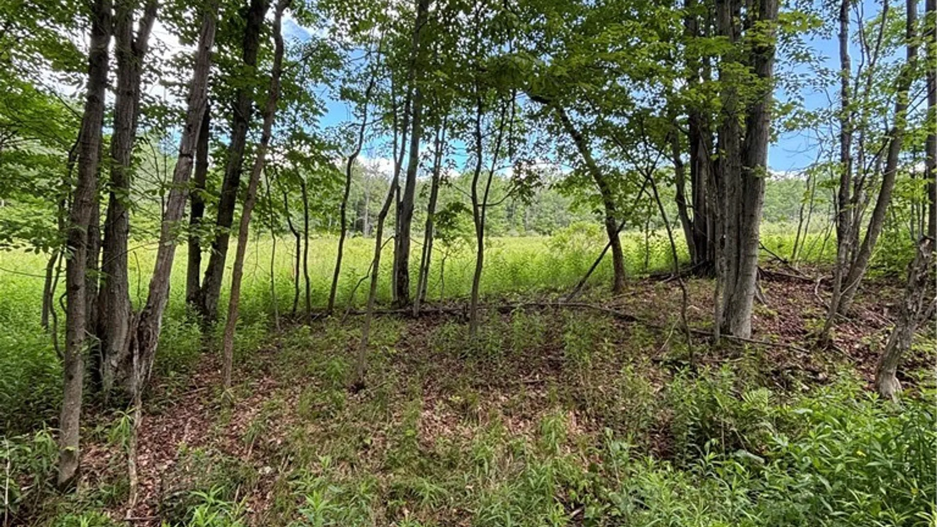 Property at 1471 Loomis Road, West Union, NY 14877 41
