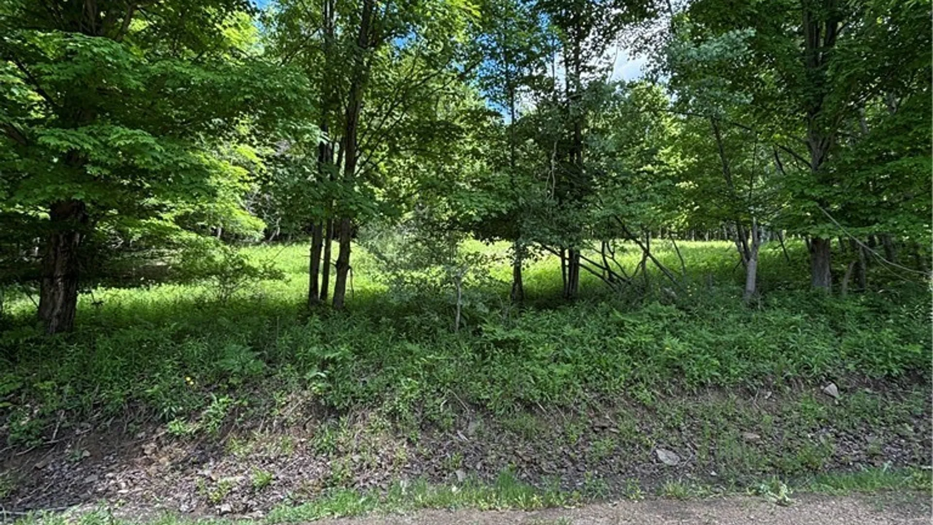 Property at 1471 Loomis Road, West Union, NY 14877 43