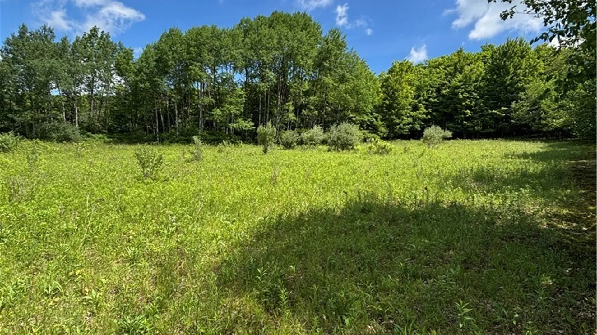 Property at 1471 Loomis Road, West Union, NY 14877 44