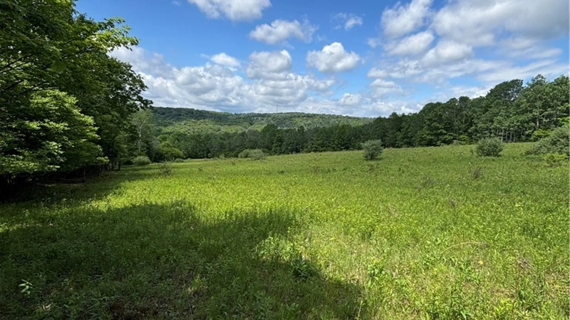 Property at 1471 Loomis Road, West Union, NY 14877 46