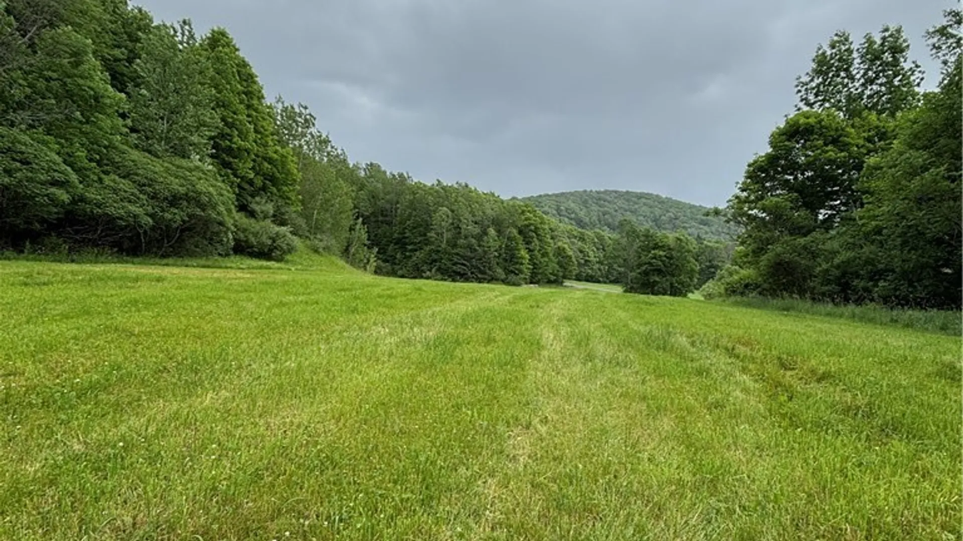 Property at 1471 Loomis Road, West Union, NY 14877 17