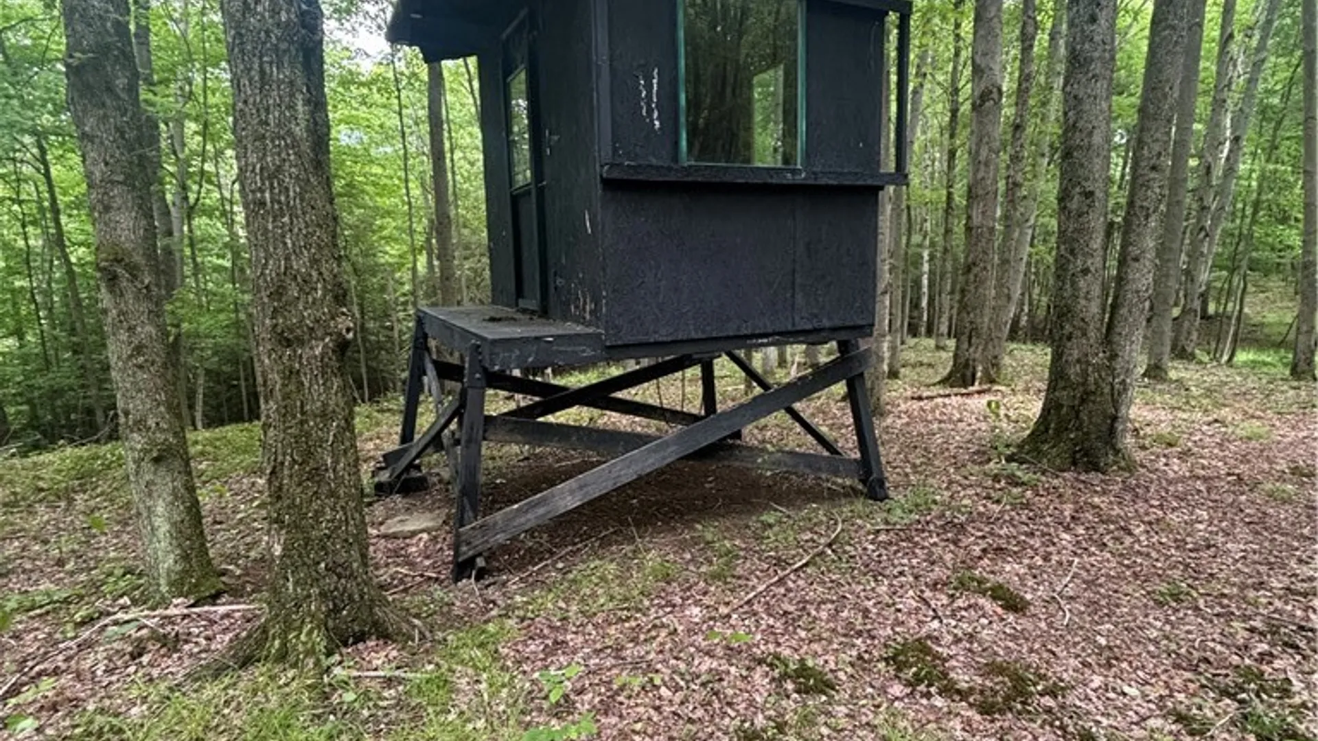 Property at 1471 Loomis Road, West Union, NY 14877 20