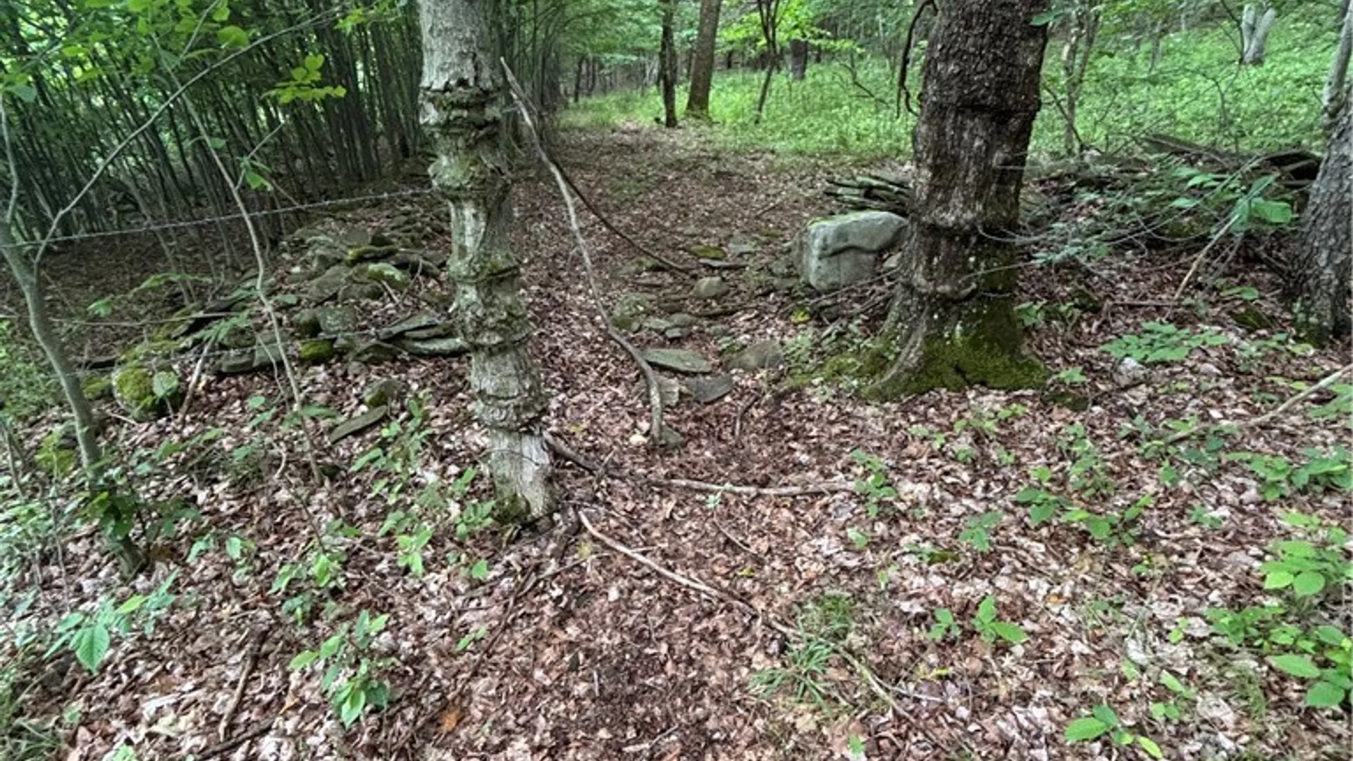 Property at 1471 Loomis Road, West Union, NY 14877 25
