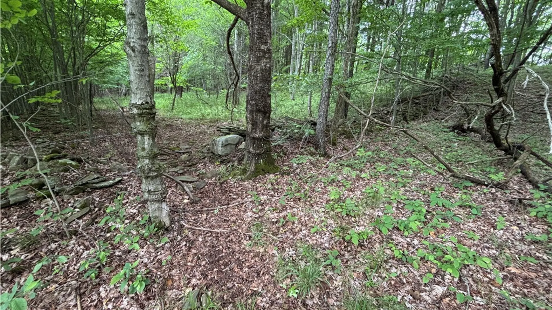 Property at 1471 Loomis Road, West Union, NY 14877 26