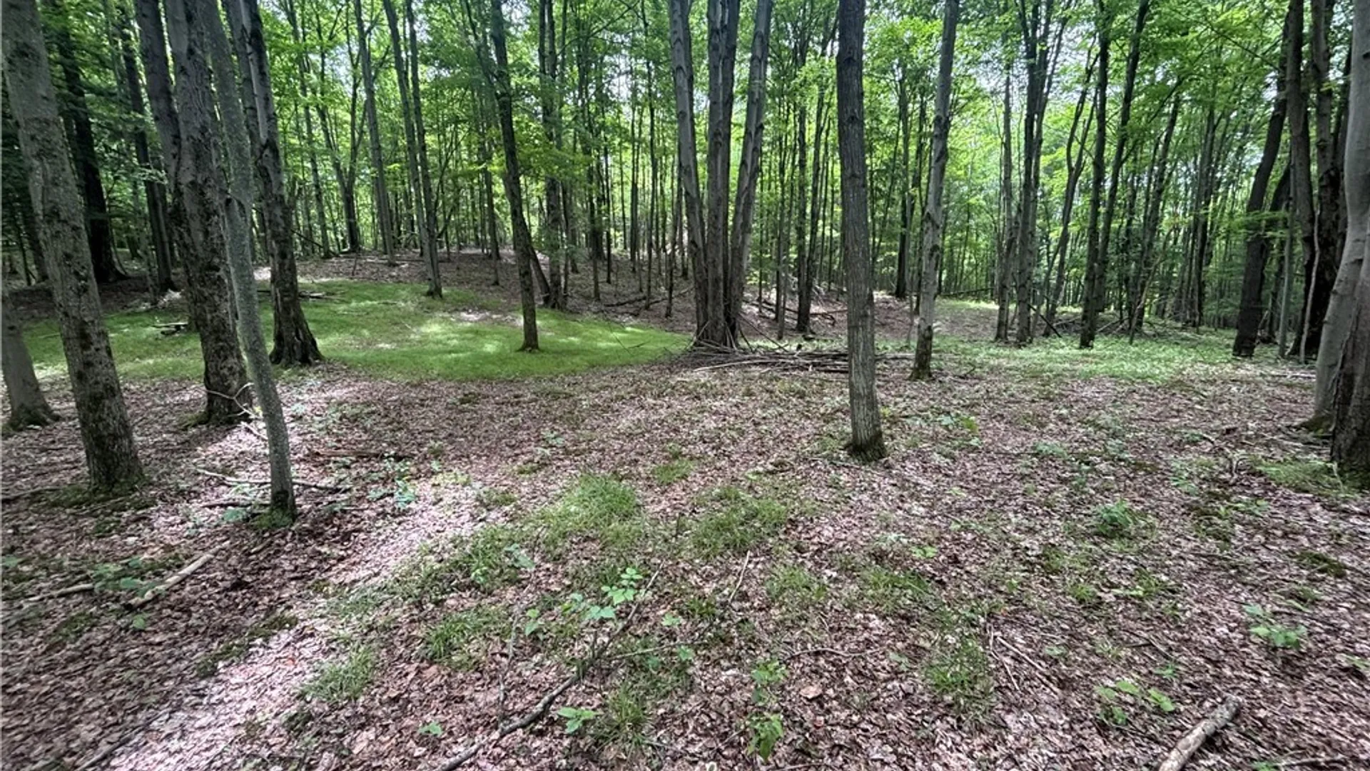Property at 1471 Loomis Road, West Union, NY 14877 27