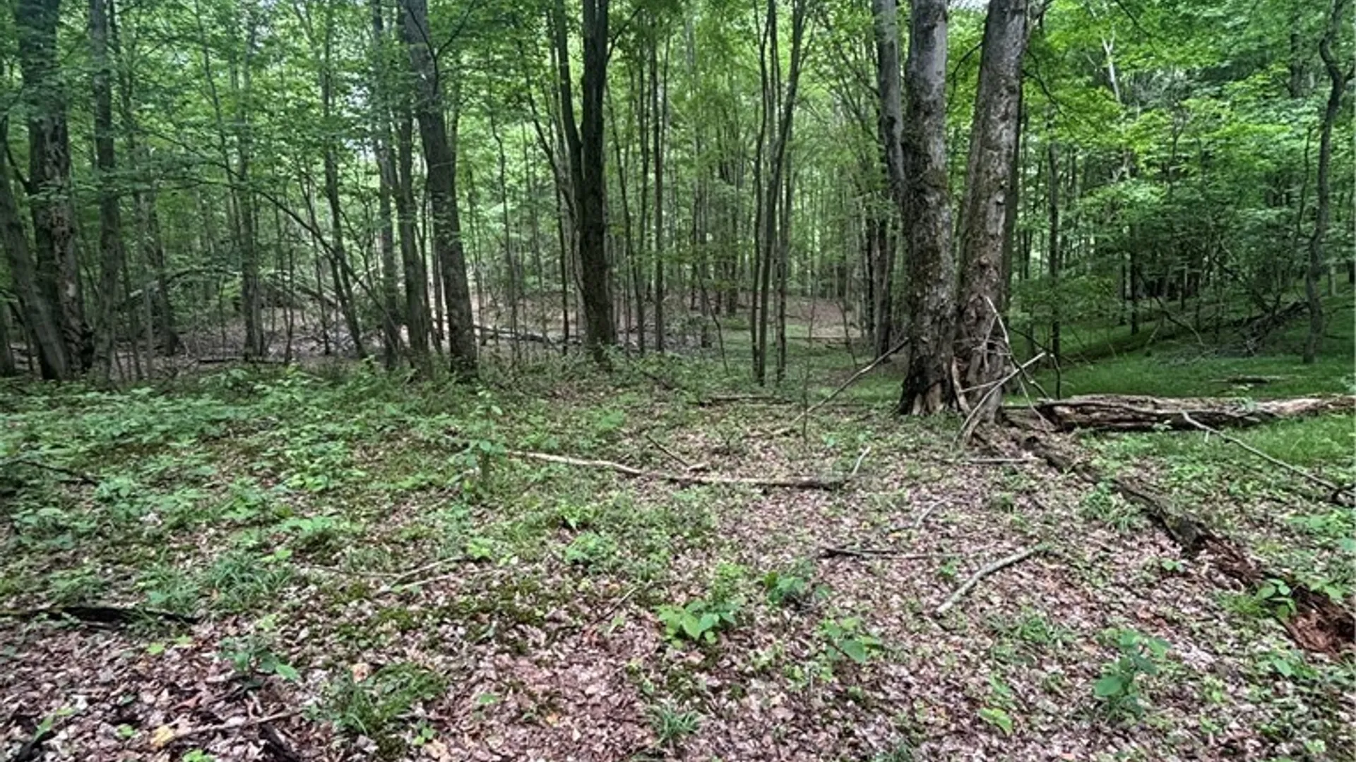 Property at 1471 Loomis Road, West Union, NY 14877 28