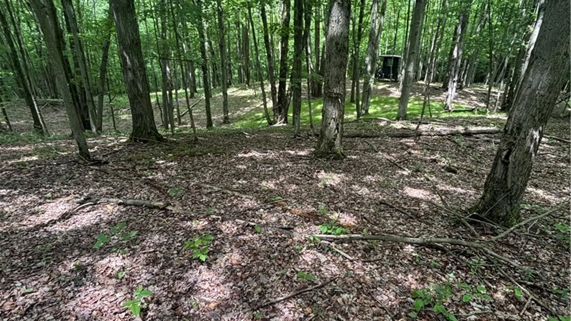 Property at 1471 Loomis Road, West Union, NY 14877 29