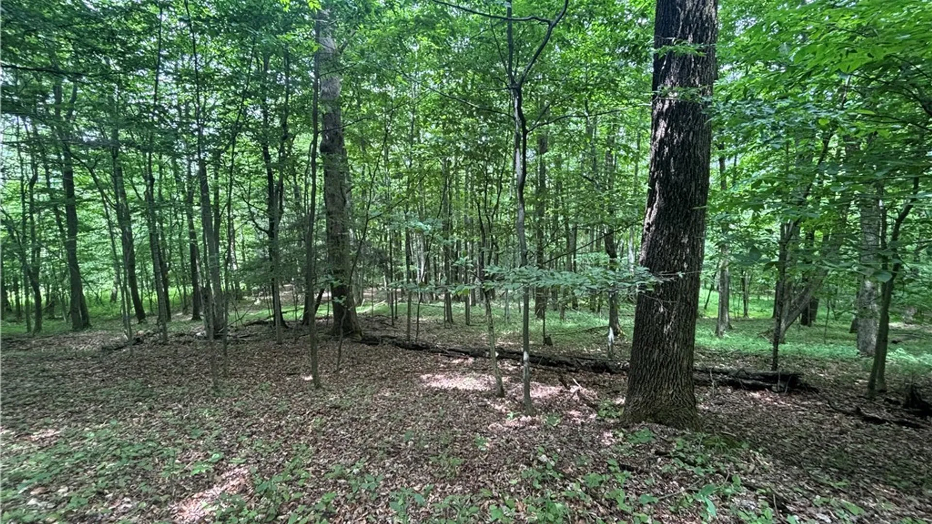 Property at 1471 Loomis Road, West Union, NY 14877 30