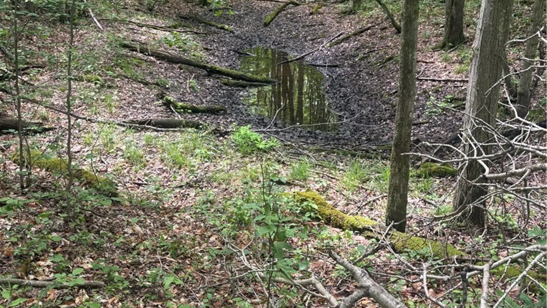 Property at 1471 Loomis Road, West Union, NY 14877 31
