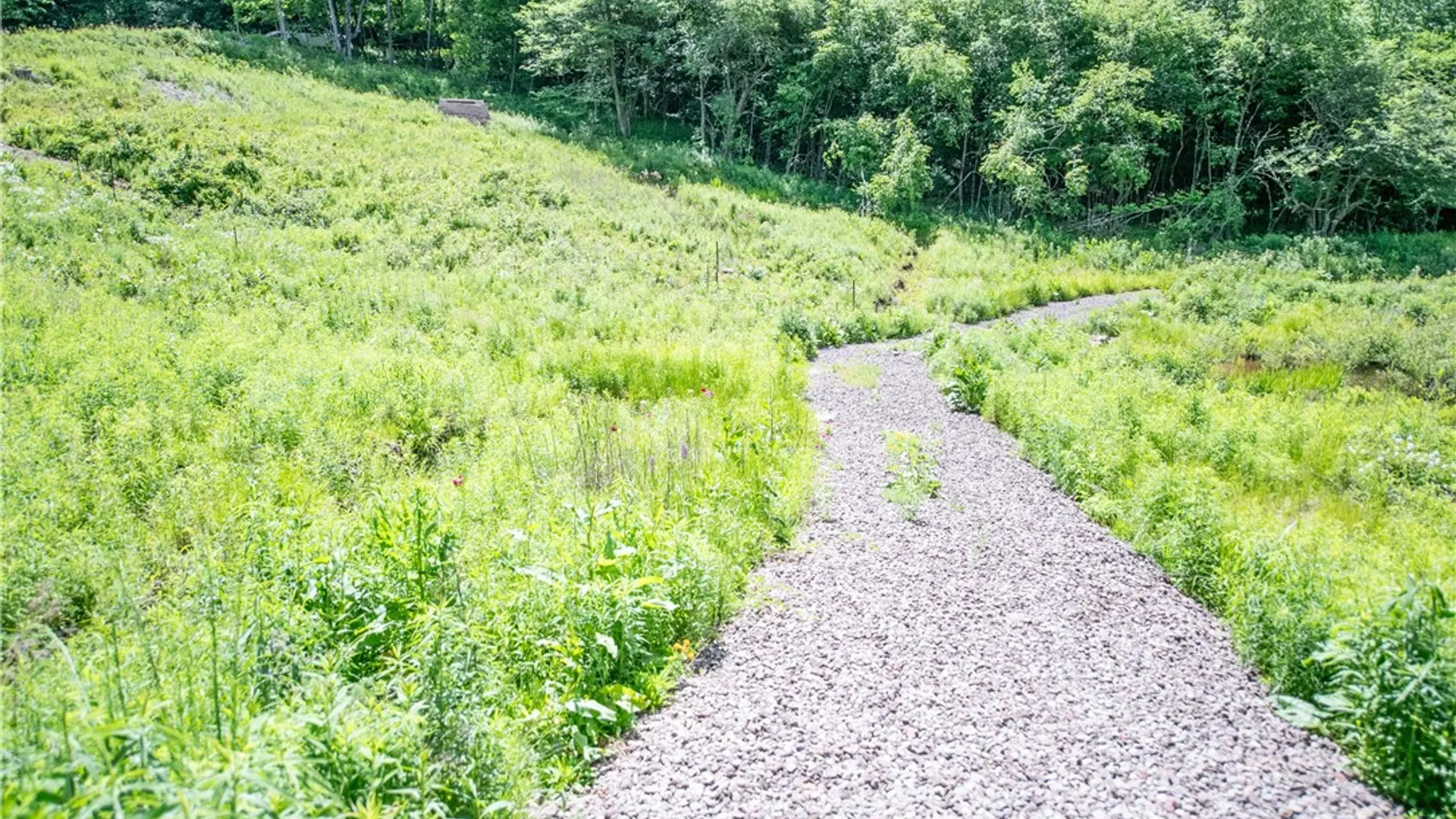 Property at 147 Miller Path, Delhi, NY 13753 17