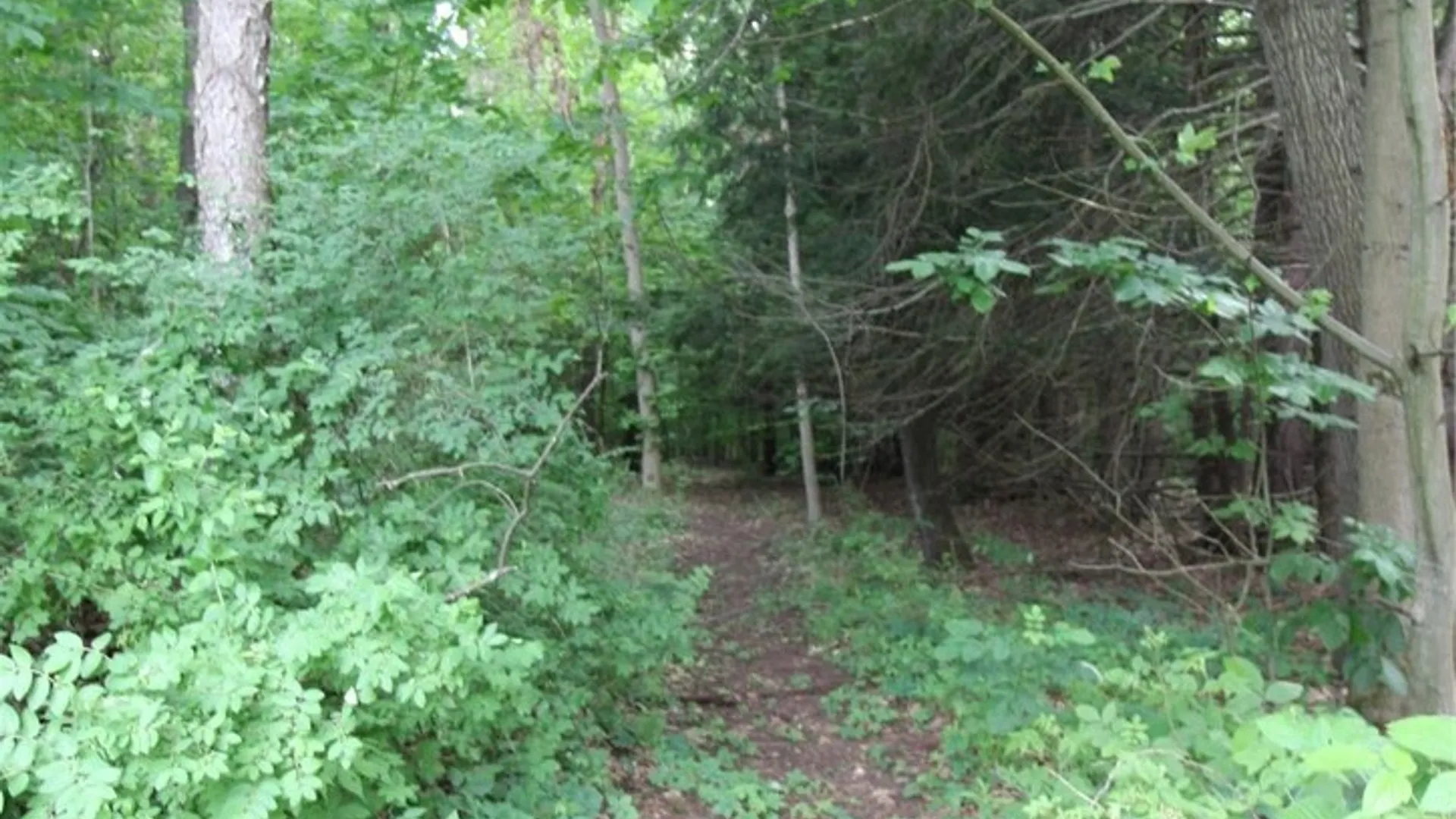 Property at 1339 County Route 57, Volney, NY 13069 46