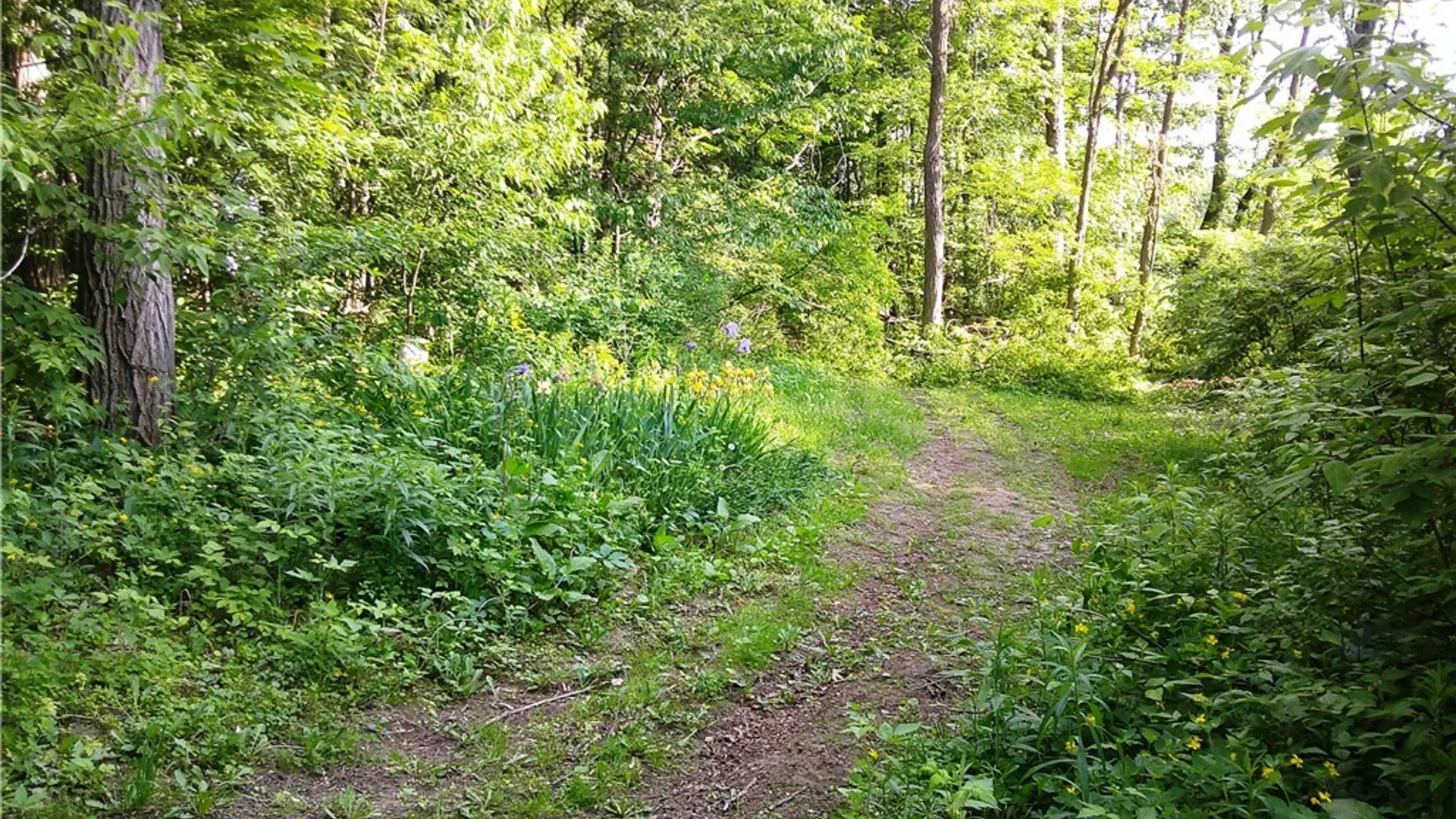 Property at 17991 Ny State Route 177, Adams, NY 13606 46