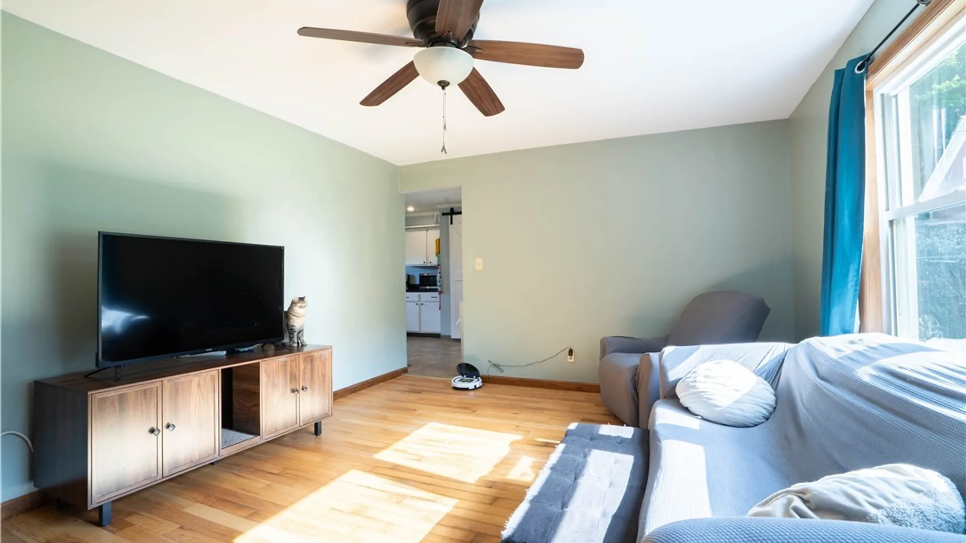Property at 231 N Helmer Avenue, Manheim, NY 13329 10