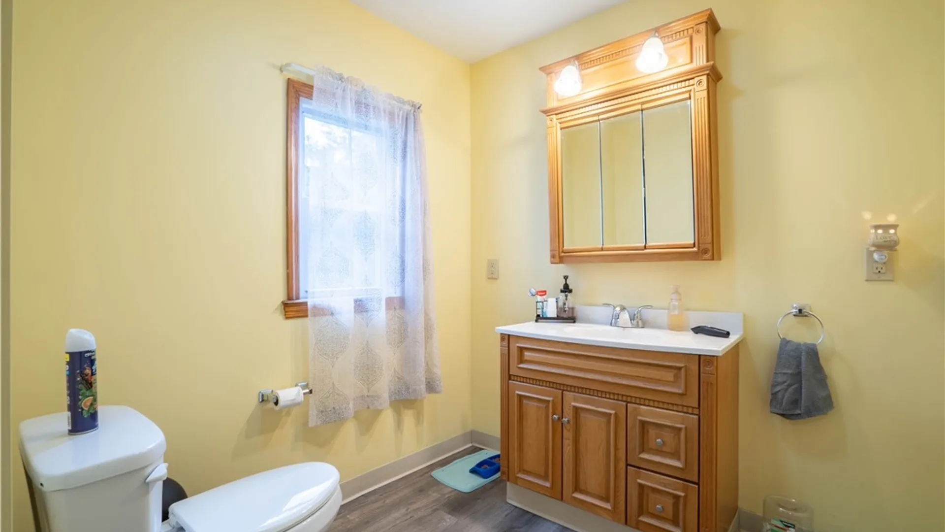 Property at 231 N Helmer Avenue, Manheim, NY 13329 20