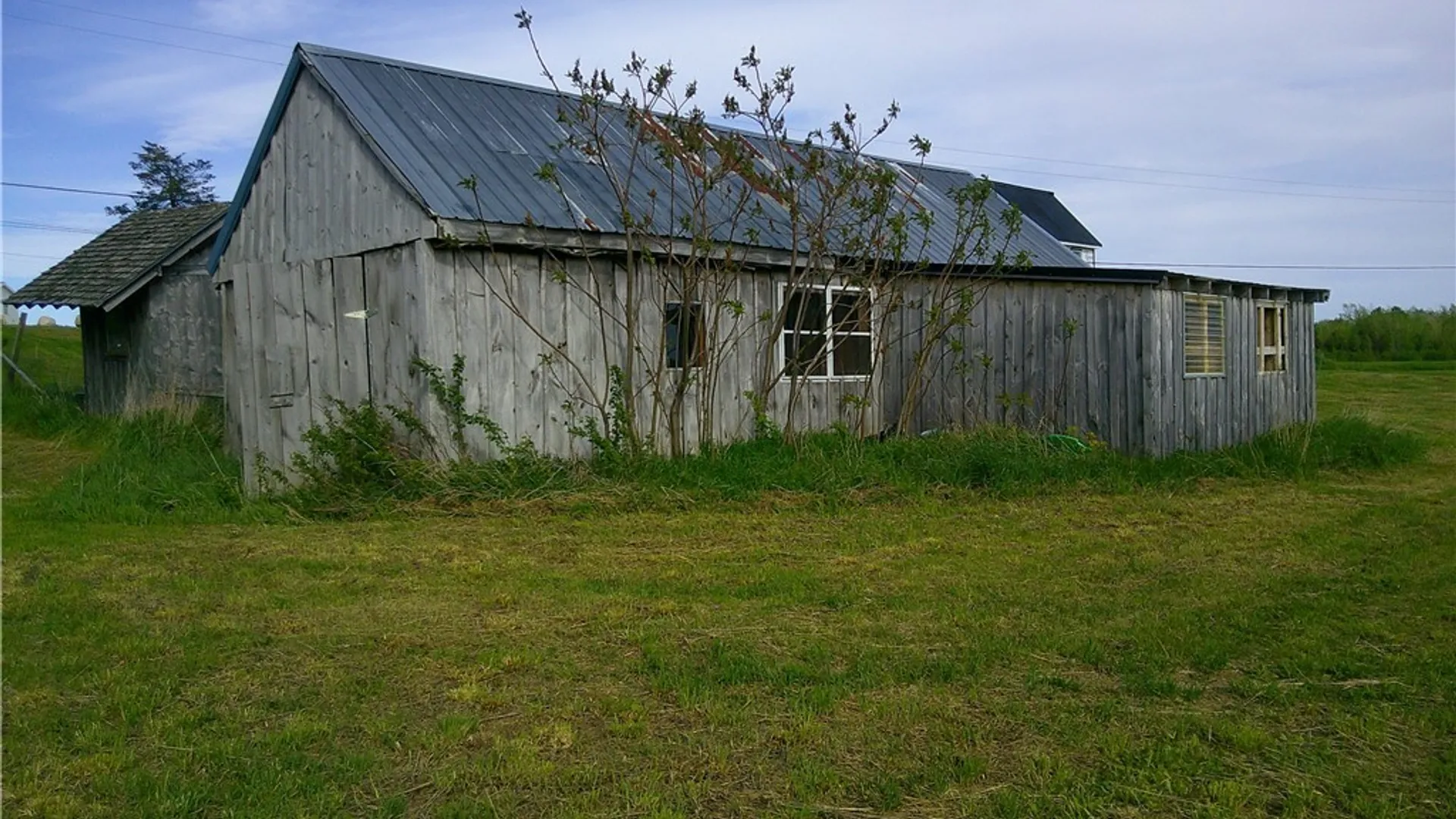 Property at 40021 Cox Road, Alexandria, NY 13656 6
