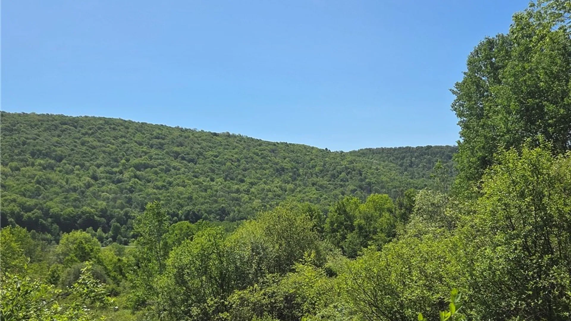 Property at NYS Route 446, Hinsdale, NY 14727 29