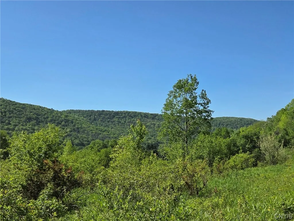 Property at NYS Route 446, Hinsdale, NY 14727