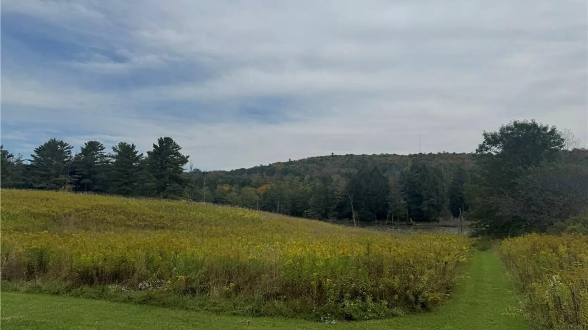 Property at 146 Blower Road, Guilford, NY 13780 11